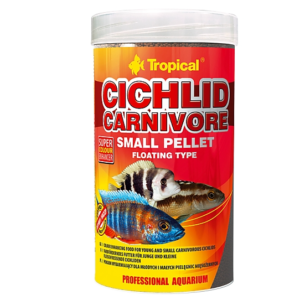 Cichlid Carnivore
