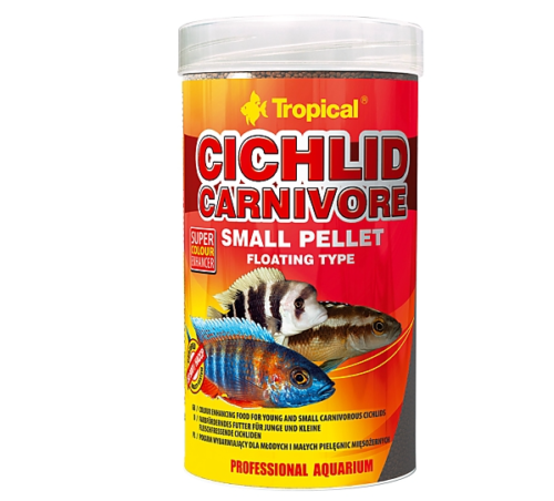 Cichlid Carnivore